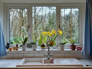 Photo 8- click for photo gallery